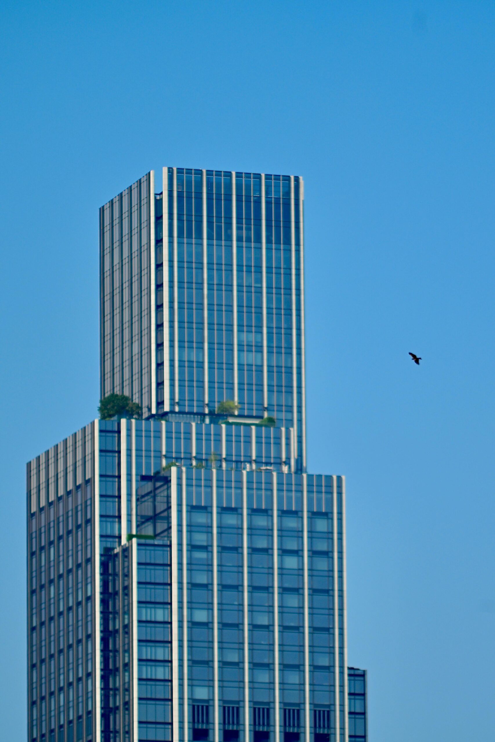 Tall modern skyscraper with sleek design and a bird flying nearby against a blue sky.