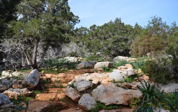 Akamas by Christia Alexandrou