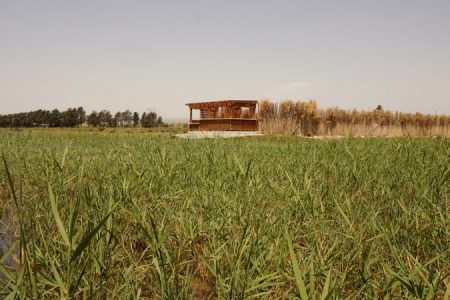 Akrotiri_Marsh_Hide_450_850_crp