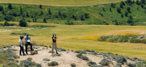 BirdLife_BirdWatching_SR_April2026_031