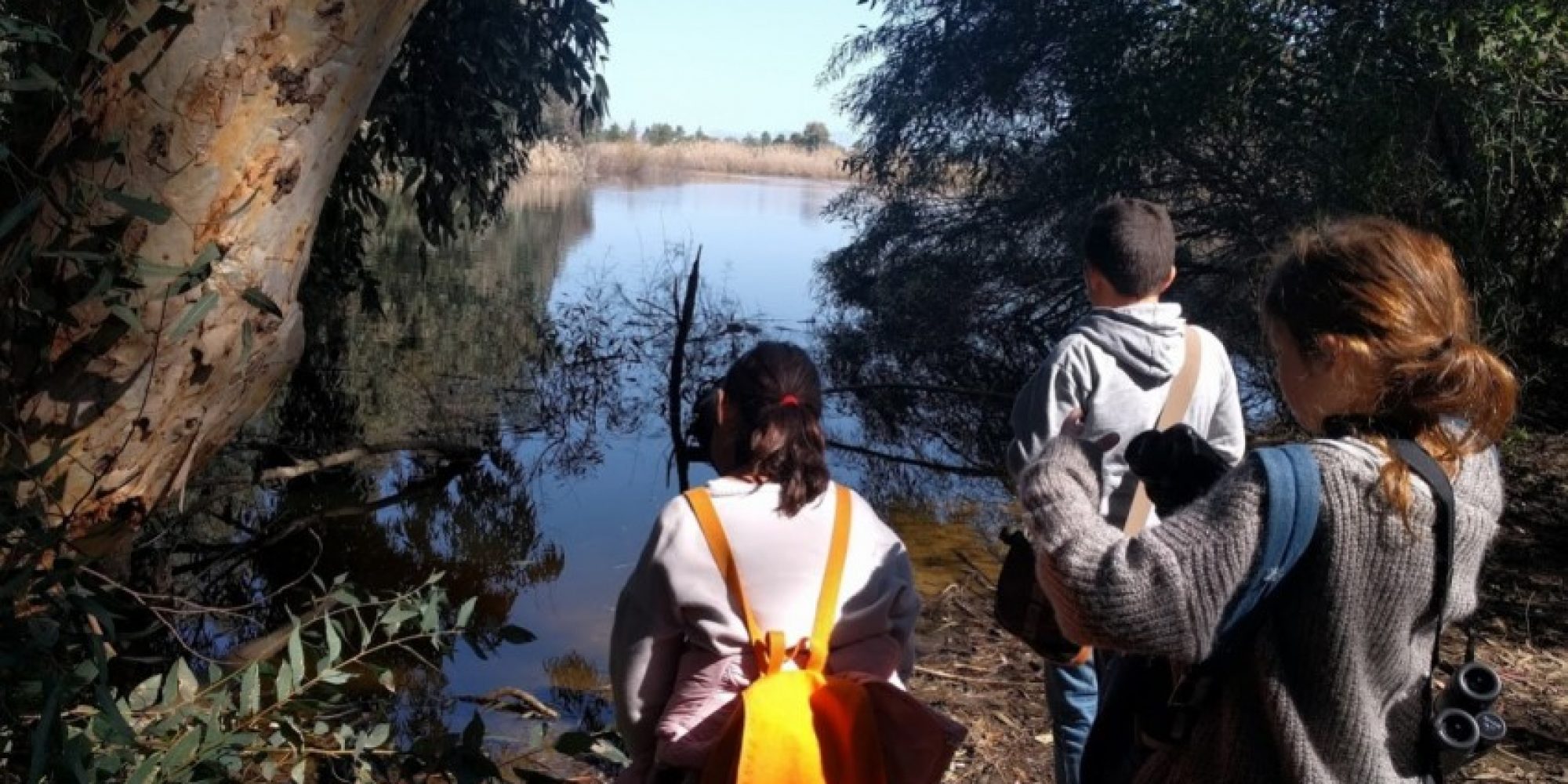 Children_birdwatching_at_Athalassa_Park_450_850_crp