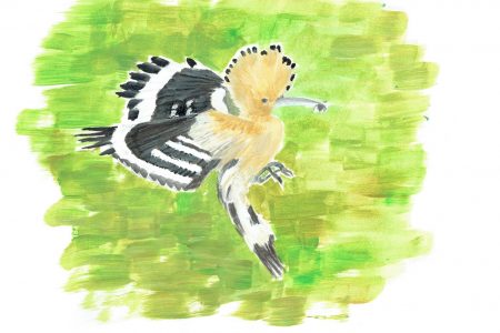 Christiana Mouxouri - Eurasian Hoopoe