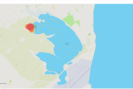 Επίπεδα συγκέντρωσης μολύβδου στις Αλυκές Λάρνακας