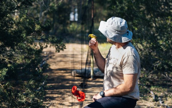 ThkioMosfilies_April_2025_SR_026