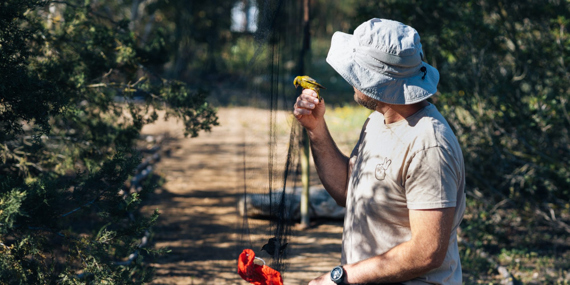 ThkioMosfilies_April_2025_SR_026