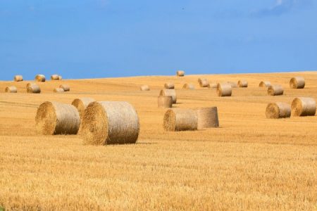 agriculture_450_850_crp