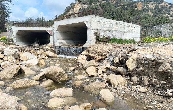 e5de5257-9707-4069-94c2-0fc792f267e1