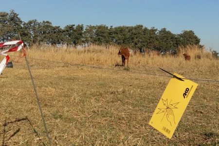 electricfenceatAkrotiriMarsh_450_850_crp