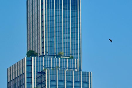 Tall modern skyscraper with sleek design and a bird flying nearby against a blue sky.