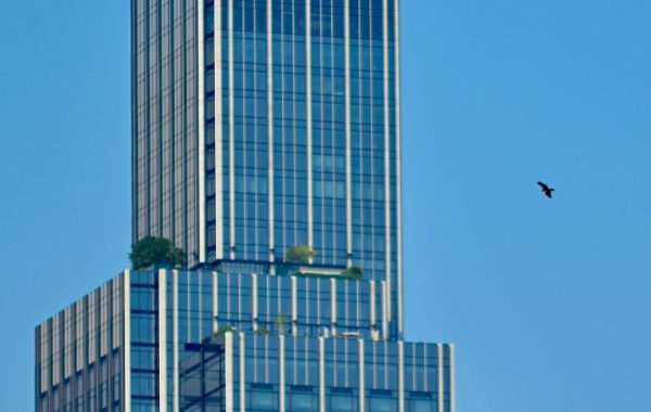 Tall modern skyscraper with sleek design and a bird flying nearby against a blue sky.