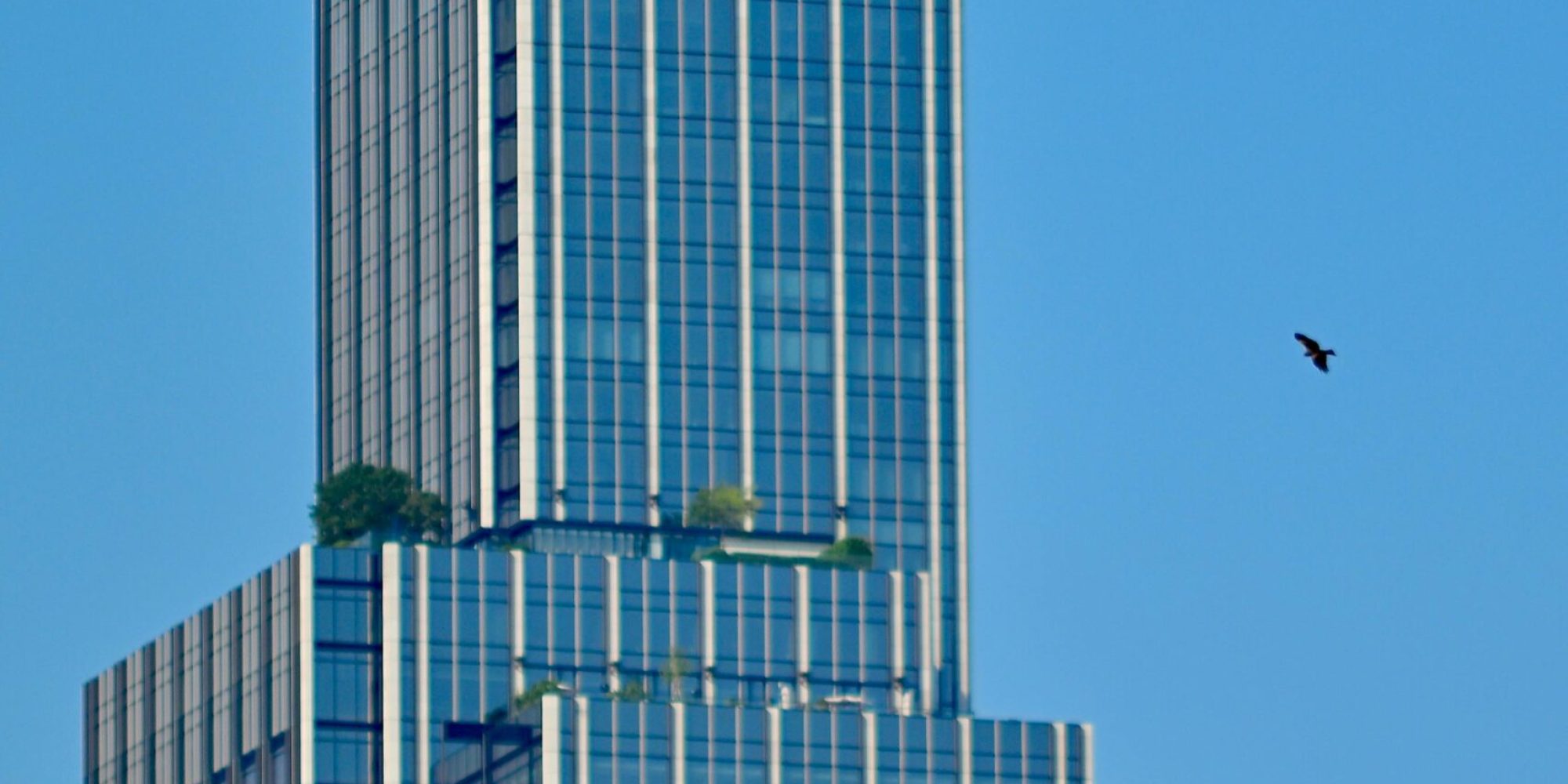Tall modern skyscraper with sleek design and a bird flying nearby against a blue sky.